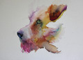        'Please' Terrier Watercolour by Jean Haines