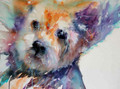        Walkies - Westie Watercolour by Jean Haines