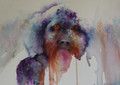        Oodles of Doodle Watercolour by Jean Haines