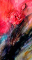  'Passion' Contemporary Carnation Floral Study in Watercolour by Jean Haines