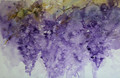  Wisteria Whispers a Floral Study in Watercolour by Jean Haines