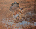     Last Retrieve of the Day by Paul Apps