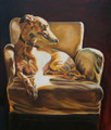 Spotlight by Debbie Harris