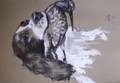Springer Spaniel Sketch by Catherine Ingleby