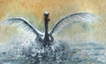 Perfect Landing by Jenny Oldknow