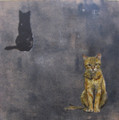  Back and Front by Tor Hildyard