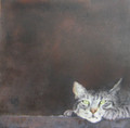  Spying by Tor Hildyard