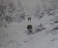 The Followers by Wendy Corbett