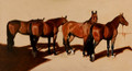 Polo Ponies by Hazel Morgan
