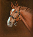 Chestnut Hunter by Hazel Morgan