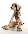 Seated Spotty Dog by Virginia Dowe Edwards