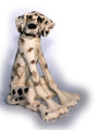 Seated Spotty by Virginia Dowe Edwards
