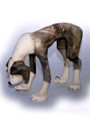 Sniffing Dog by Virginia Dowe Edwards
