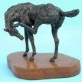 Scratching Foal by Jan Sweeney