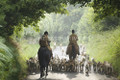 Exercising Hounds by Jake Eastham