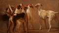   Six Hounds in Expectation by Hazel Morgan