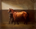  Colt in Stable by Hazel Morgan