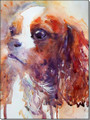        Sweet Eyes a Cavalier King Charles by Jean Haines