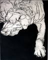 Resting An Etching by Tor Hildyard