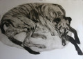 Comfy Bed A Collagraph by Tor Hildyard