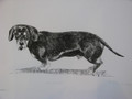 Sausage A Lithograph by Tor Hildyard
