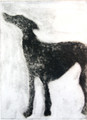 Shadow I a Carborundum by Tor Hildyard