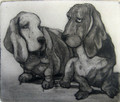 Friends an Etching by Tor Hildyard