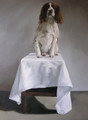Springer Spaniel Portrait in Oils by Jay Crowther