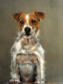 Jack Russell Study by Paula Vize