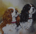 Cavalier King Charles Spaniel Portrait by Paula Vize