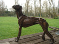 Saluki Sculpture by Margot Dent