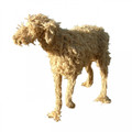 Big Standing Ropey Dog Sculpture by Dominic Gubb