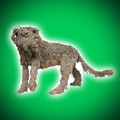 Standing Ropey Dog II Sculpture by Dominic Gubb