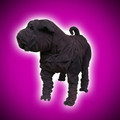 Suede Leather Shar Pei Sofa Dog Sculpture by Dominic Gubb