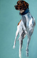 'Looking Out' Greyhound Study by Thuline de Cock