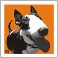 Print of English Bull Terrier on Orange by Emily Burrowes