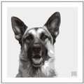 Print of a German Shepherd on Grey by Emily Burrowes