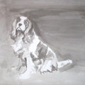   Cavalier King Charles Spaniel by Ian Mason