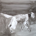   English Setter II by Ian Mason