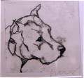   Dogo Argentino by Ian Mason