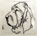   Bloodhound Print by Ian Mason