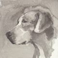   Foxhound I by Ian Mason