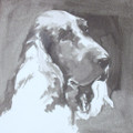   Cocker Spaniel I by Ian Mason