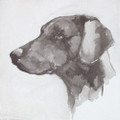   Doberman by Ian Mason