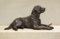 Brunch Labrador Sculpture by Rosemary Cook