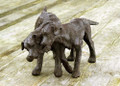 Buffy and Splinter A Labrador Sculpture by Rosemary Cook