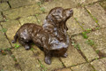 Lifesized Dachshund Sculpture by Rosemary Cook