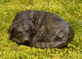 Snowy a Lifesized Labrador Sculpture by Rosemary Cook