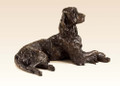 Rufus an Irish Setter Sculpture by Rosemary Cook