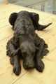 Velvet a Lifesized Irish Setter Sculpture by Rosemary Cook